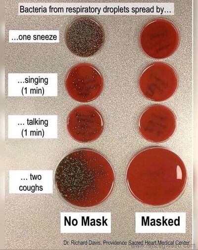 bacterias-com-e-sem-mascara.JPG