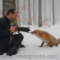 fotografos-e-animais-4