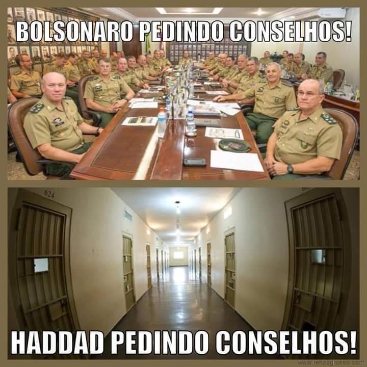 bolsonaro-haddad-conselhos