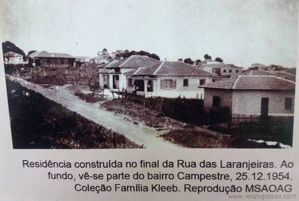 1954-rua-das-laranjeiras1