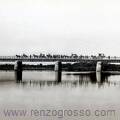 1880-ponte-das-bandeiras-antiga-ponte-grande-comitiva-de-d-pedro-ii