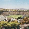 1950-estadio-do-pacaembu-ilustracao