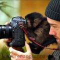 fotografos-e-animais-28
