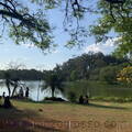 parque-ibirapuera-1
