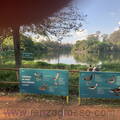 parque-ibirapuera-2