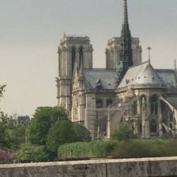 Catedral de Notre Dame - Paris 2015
